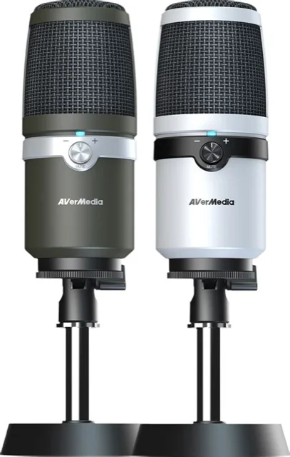 AVerMedia AM310